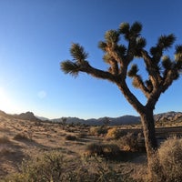 Photo taken at Joshua Tree National Park by Tom H. on 10/25/2018