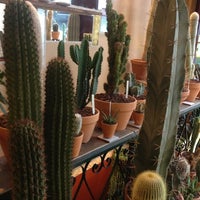 Photo taken at Les Succulents Cactus by Fatiha E. on 4/16/2013