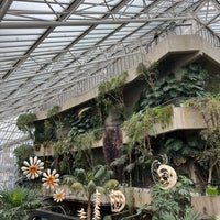 Photo taken at Barbican Conservatory by masha l. on 3/10/2024
