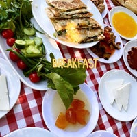 Yesil Vaha Park 5726 Ziyaretcidan 63 Tavsiye