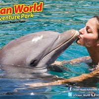 5/24/2013 tarihinde Andreina O.ziyaretçi tarafından Ocean World Adventure Park'de çekilen fotoğraf