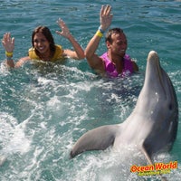 1/18/2014 tarihinde Andreina O.ziyaretçi tarafından Ocean World Adventure Park'de çekilen fotoğraf