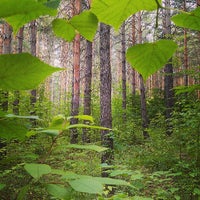 Photo taken at Родник Алтая by Fedor K. on 7/20/2013