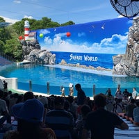 Photo taken at Dolphin Show by Lyn Aung C. on 7/27/2020