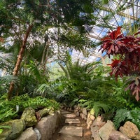 Foto tirada no(a) Botanická záhrada UK por Mária K. em 6/3/2021