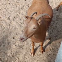 Photo taken at Al Areen Wildlife Park &amp;amp; Reserve by Dr. N. on 11/22/2023