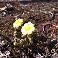 Photo taken at ООО Аппетит by Елена С. on 4/17/2013