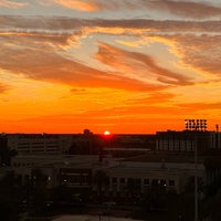 11/9/2023にLuay AlmatrudiがUniversity of Tampaで撮った写真