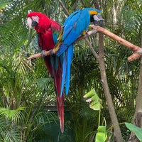 Photo taken at Discovery Cove by Chris S. on 5/13/2024