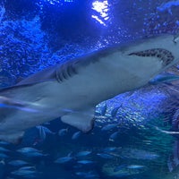 Photo taken at Aquarium by Hongchang W. on 7/20/2021