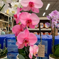 Photo taken at The Home Depot by Sally K. on 6/27/2022