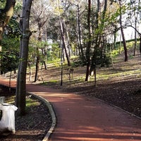 Emirgan Korusu Attractions In Sariyer Istanbul