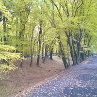 Photo taken at Шервудский лес by Al L. on 10/24/2015