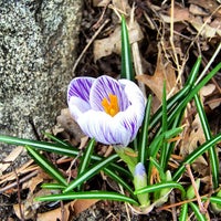 Photo taken at Pullis Farm Cemetery by Robert G. on 3/30/2013