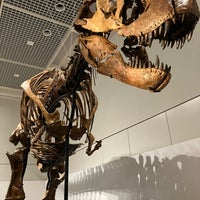 Photo taken at Osaka Museum of Natural History by Lee Y. on 7/22/2023