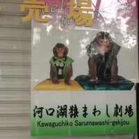 河口湖猿まわし劇場 河口2719 8