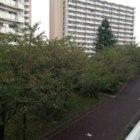 公園前多摩川住宅中央 公園前多摩川住宅中央