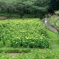 Photo taken at Sagamihara Kita Park by ACE 1. on 6/7/2022