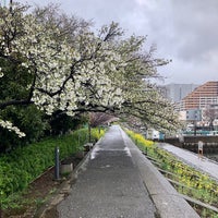 Photo taken at 勝島運河 by Yusuke S. on 3/25/2023