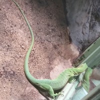 Photo taken at Feline and Reptile Pavilion by Anti C. on 6/23/2019