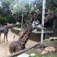 Photo taken at Giraffes by Gary d. on 12/7/2019