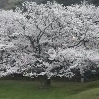 Photo taken at 走水水源地駐車場 by chicaco . on 4/3/2016