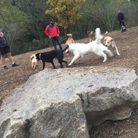 Photo taken at Piedmont Park Dog Park by T. J. on 10/28/2017