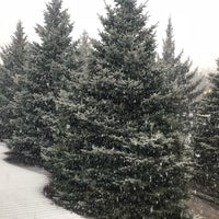 12/13/2018 tarihinde Zoia C.ziyaretçi tarafından Счастье'de çekilen fotoğraf