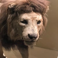 Photo taken at Mammals Gallery by Margarida F. on 1/16/2019