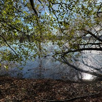 Photo taken at Green Lake Park by Theron V. on 11/26/2023