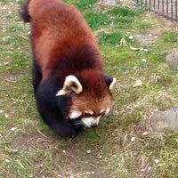 Photo taken at Yagiyama Zoological Park by ここちん on 4/30/2013