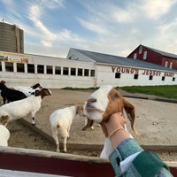 Photo taken at Young&amp;#39;s Jersey Dairy by Israa on 5/25/2022