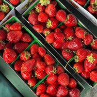 Review Fort Mason Farmers Market