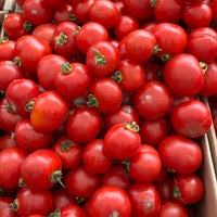 Review Fort Mason Farmers Market