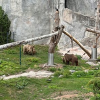 Photo taken at Korkeasaari Zoo by Liivo L. on 7/27/2023