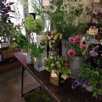 しろくま生花店 Flower Shop しろくま生花店 Flower Shop