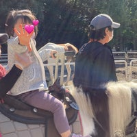 Photo taken at Yoyogi Pony Park by y966 c. on 11/3/2021