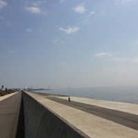 東京ディズニーリゾート 外周コース 舞浜1 1