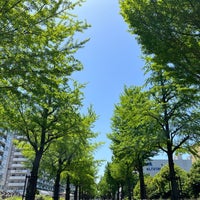 Photo taken at Hikarigaoka Park by Akihiro O. on 5/4/2024