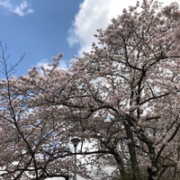 Photo taken at Sakura Castle Ruins Park by KAZ R. on 3/29/2023