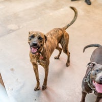 7/13/2018에 Mud Puppies님이 Mud Puppies에서 찍은 사진