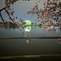 Photo taken at Tidal Basin by Felipe C. on 3/29/2024