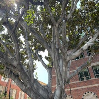 Photo taken at University of Southern California by Amy L. on 4/20/2024