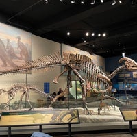 Photo taken at Sue The T. Rex by Ben H. on 5/29/2022