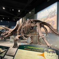 Photo taken at Sue The T. Rex by Ben H. on 5/29/2022