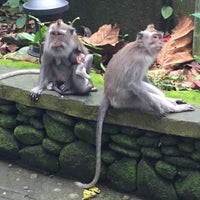 Photo taken at Sacred Monkey Forest Sanctuary by Kahani on 1/16/2017