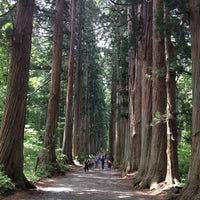 戸隠神社 奥社杉並木 長野市 長野県 戸隠神社 奥社杉並木 長野市 長野県