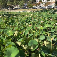 Photo taken at Echo Park by Ron T. on 7/19/2018