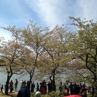 Photo taken at National Cherry Blossom Festival 2013 by Esra Y. on 4/14/2013