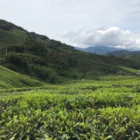 Photo taken at BOH Sungei Palas Tea Centre by AhJor on 8/26/2019